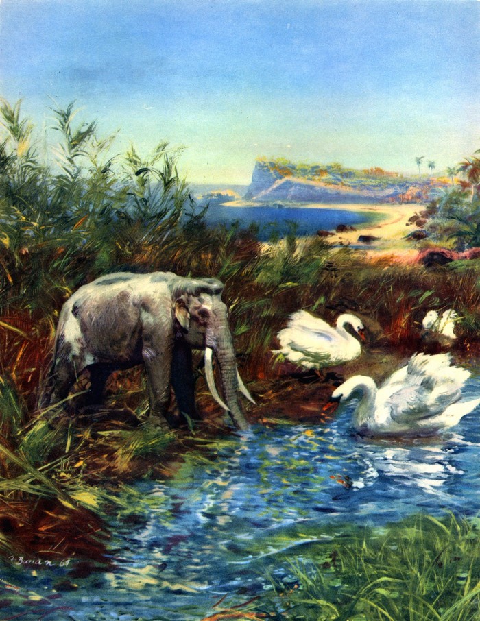 Elephant and Swans by Zdenek Burian