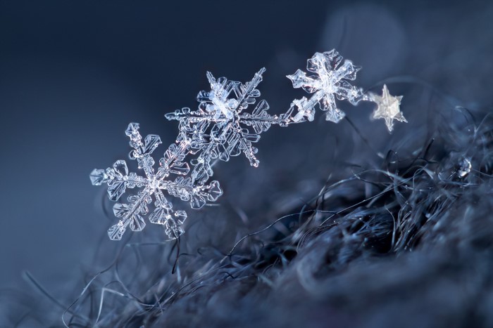 Macro view of delicate snowflakes on dark fibers
