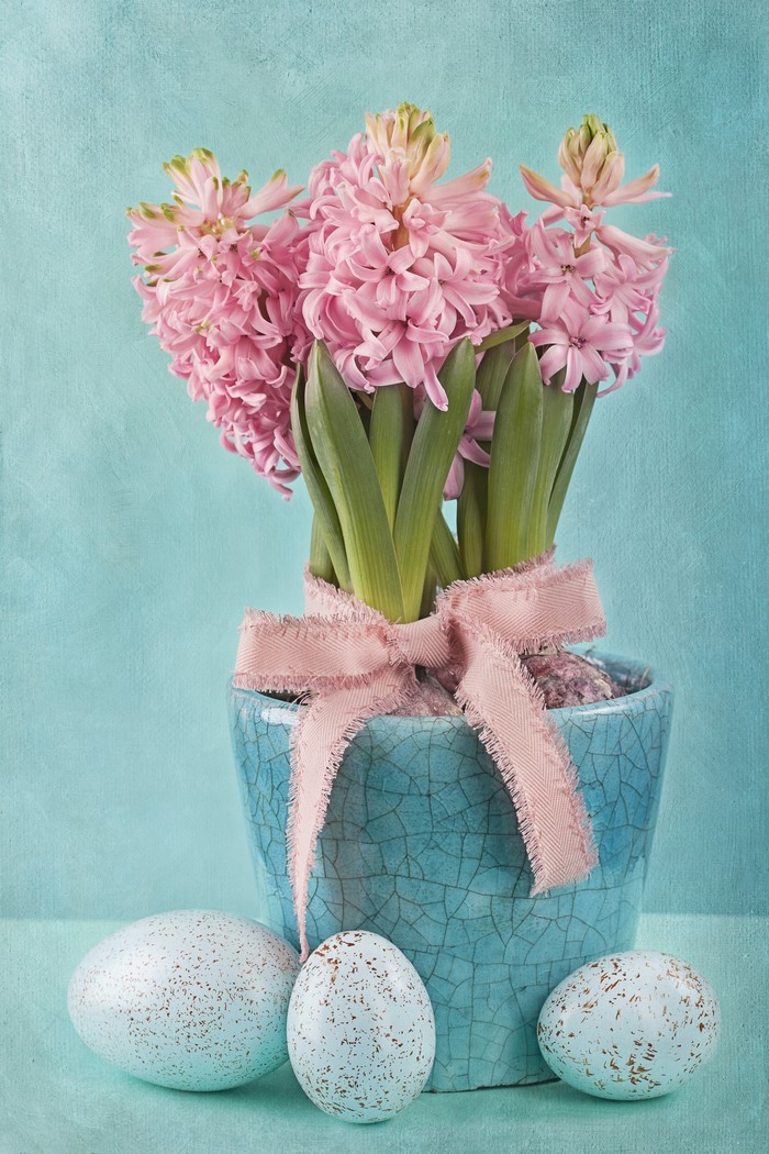 Pink Hyacinths in a Blue Pot with Easter Eggs