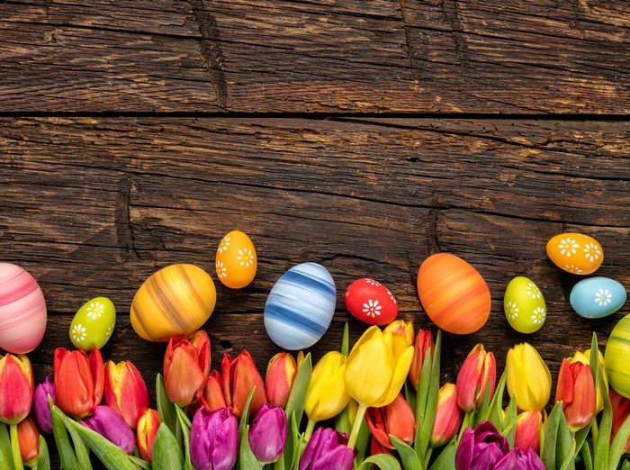 Easter eggs and tulips on wooden planks
