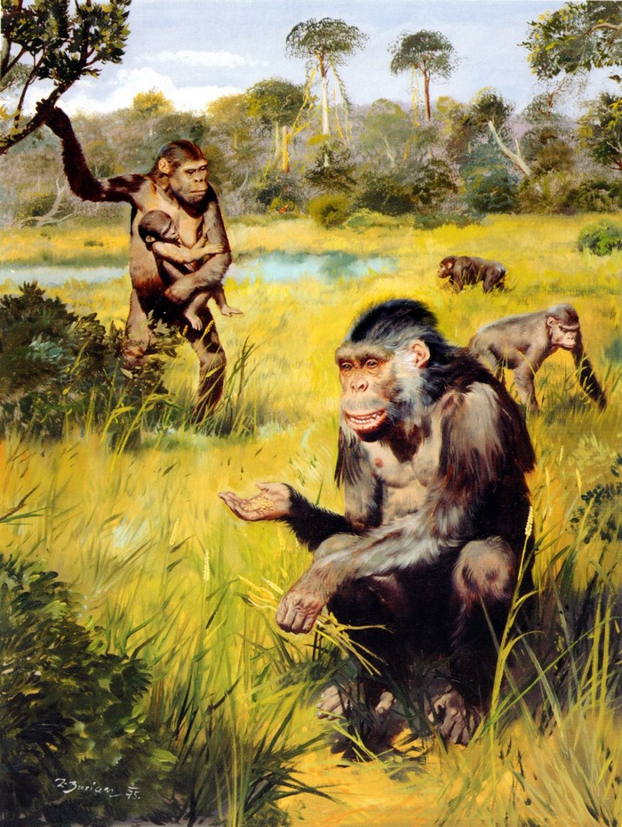 Ramapithecus seed eaters by Zdenek Burian