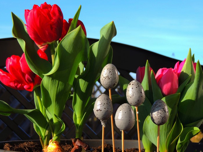 Easter Tulips and Eggs Decoration