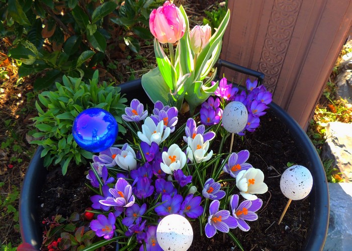 Easter flower arrangement with tulips and crocuses