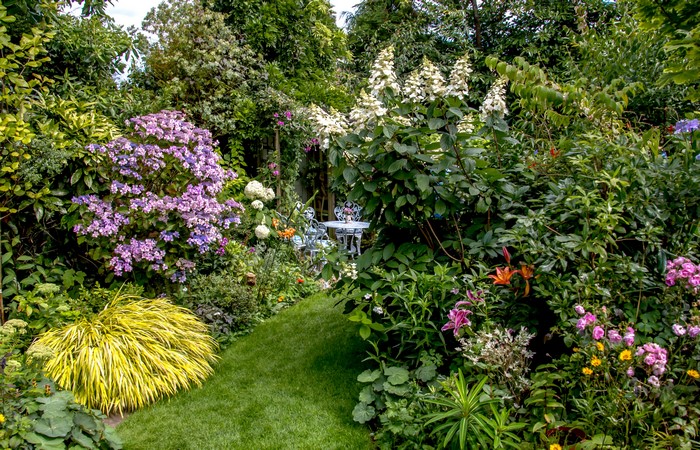 4K Swansea Botanic Gardens with Vibrant Shrubs