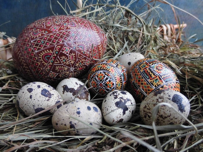 Decorated Easter eggs and quail eggs in straw