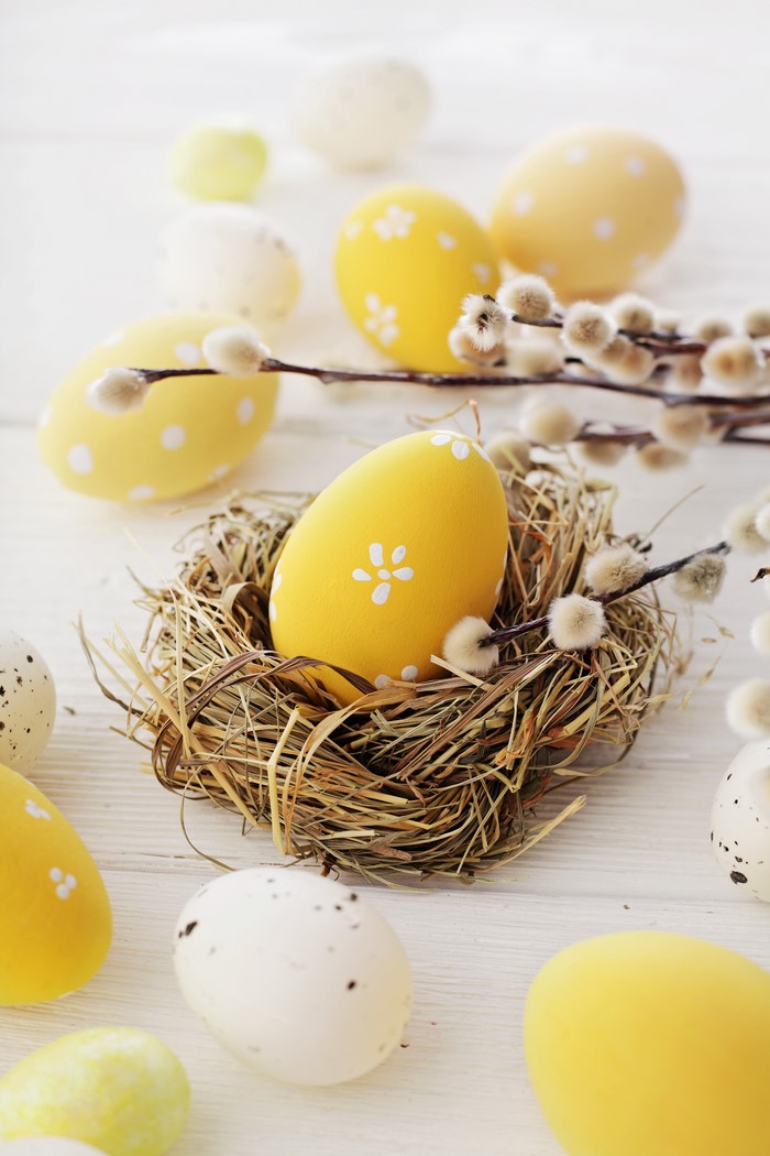 Easter eggs in a nest with pussy willow branches