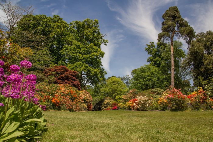 4K Exbury Gardens in England with Vibrant Shrubs and Trees