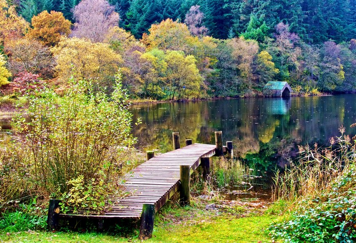 Wooden pier on a lake with autumn forest in Aberfoyle, Scotland