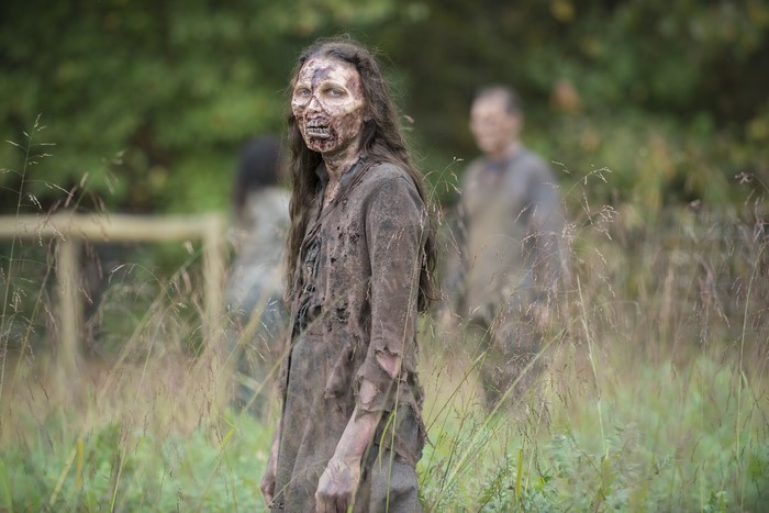 Zombie from The Walking Dead TV