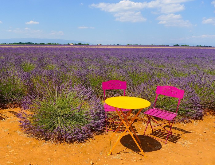 Table and chairs in a lavender field in Puimichel, France