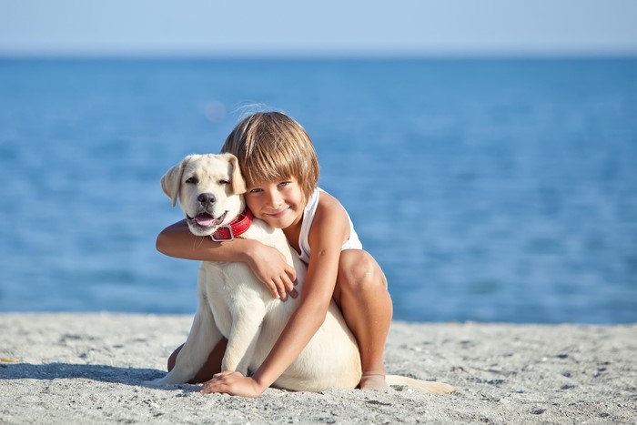 Boy hugging a Labrador Retriever on a beach