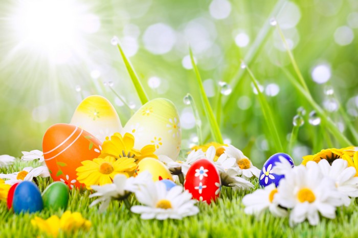 Easter eggs and flowers on grass with sun rays