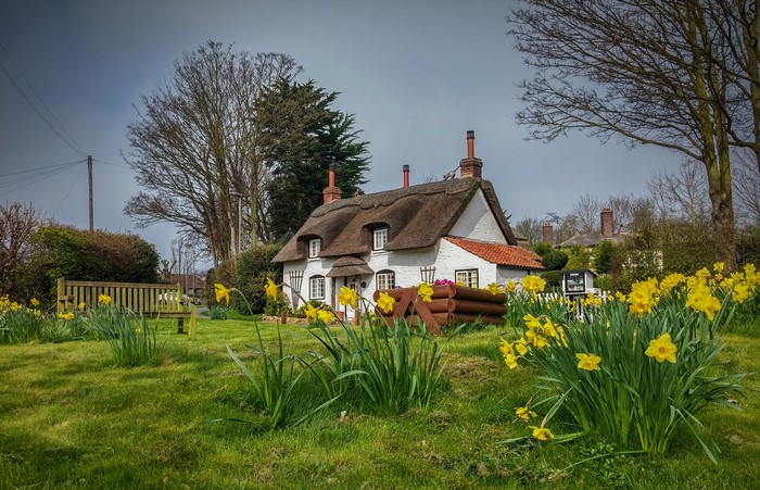 Thatched cottage in Appleby, England with daffodils