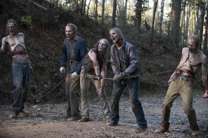 Zombies chained together in The Walking Dead TV Season 6