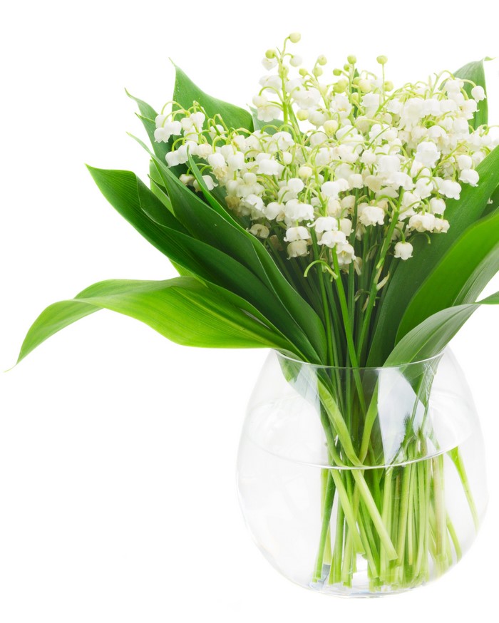 Lily of the valley flowers in a glass vase