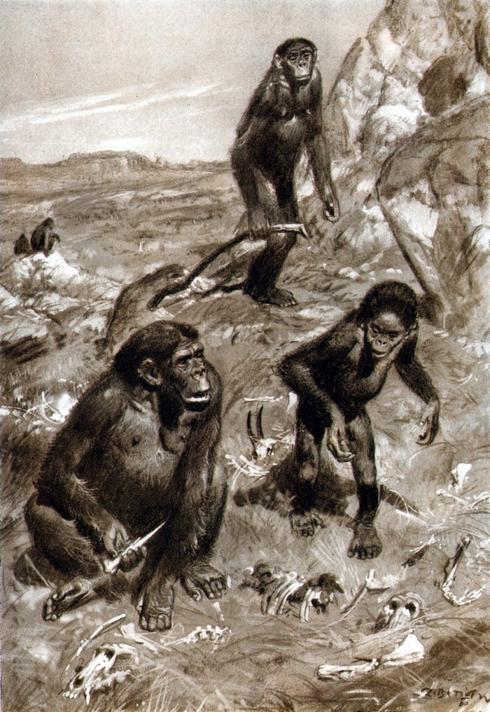 Zdenek Burian's illustration of early hominids