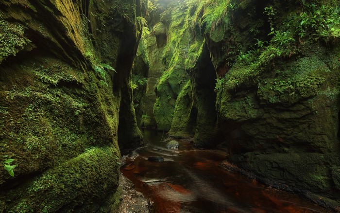 Finnich Glen Scotland Mossy Gorge with Stream