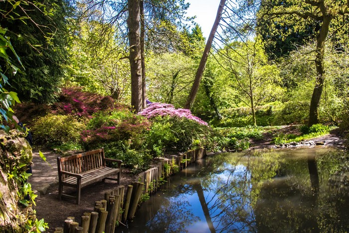 Bench by a pond in Clyne Gardens, Swansea, United Kingdom