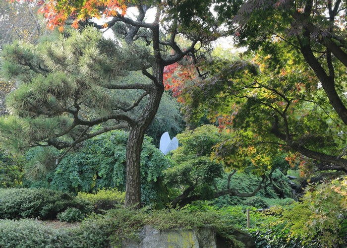 Brooklyn Botanical Garden trees and shrubs in autumn