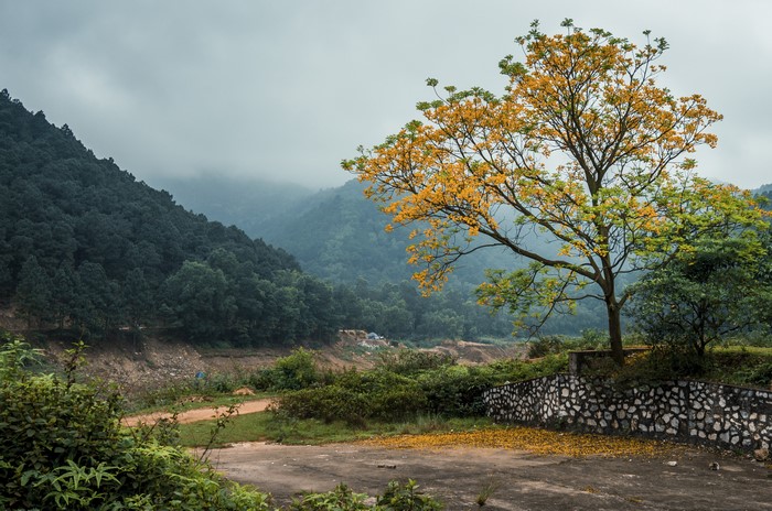 4K Vietnam Mountains with Fog and Trees