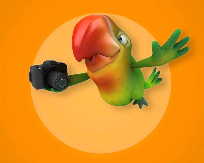 Parrot holding a camera