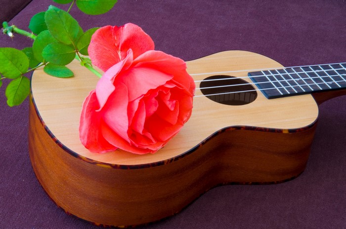 Rose on a Ukulele