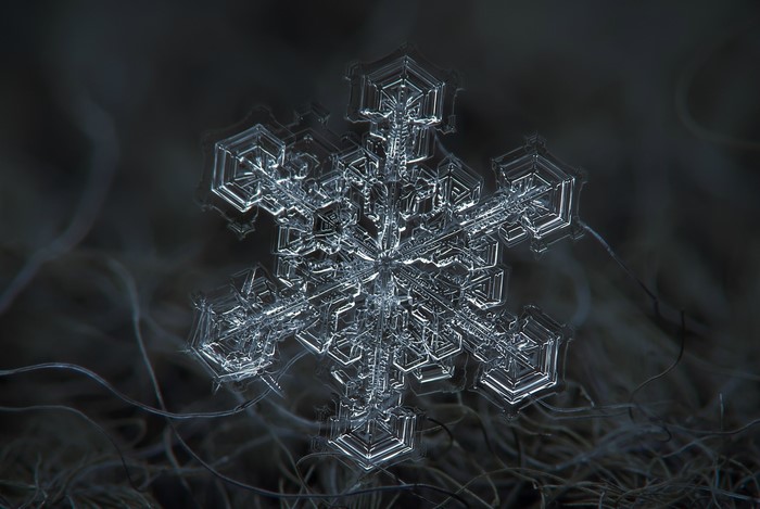 Macro photograph of a detailed snowflake