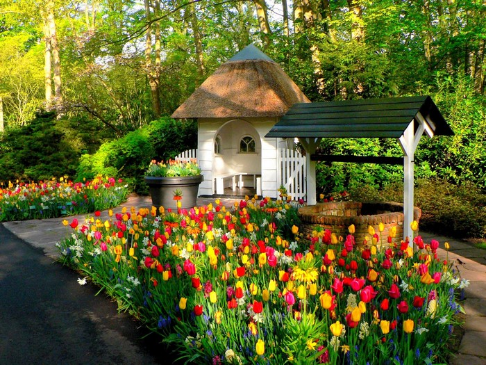 Tulips and a wishing well at Keukenhof Gardens, Netherlands
