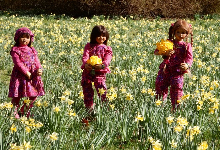 Three dolls in a field of daffodils