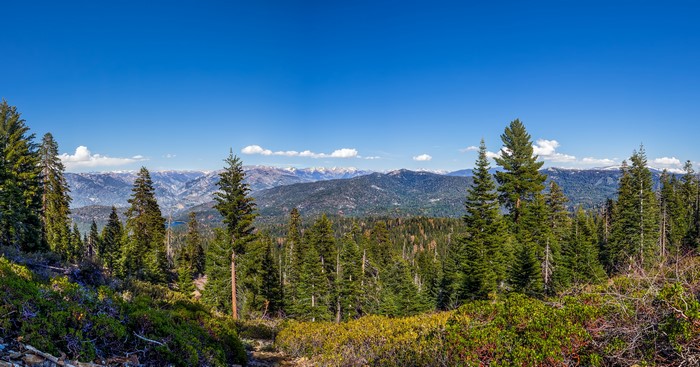 Park Ridge Sequoia and Kings Canyon National Parks