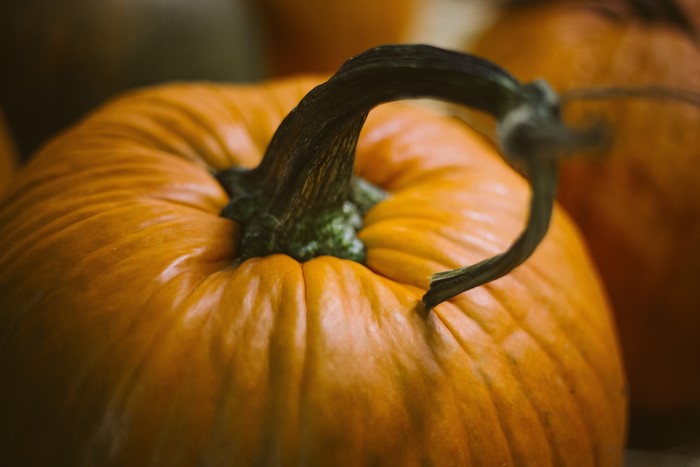 Pumpkin closeup