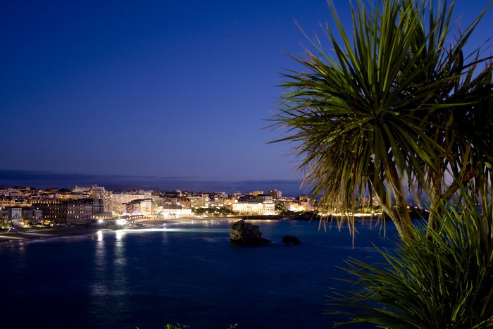 Biarritz at night with palm trees and bay