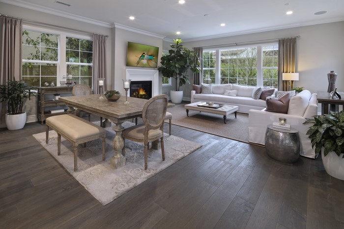 Living room with dining table and sofa