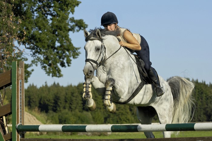 Woman riding a horse jumping over a fence