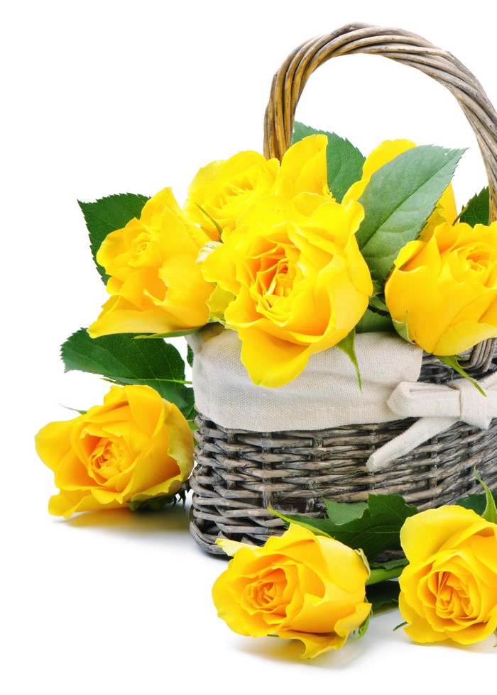 Yellow roses in a wicker basket