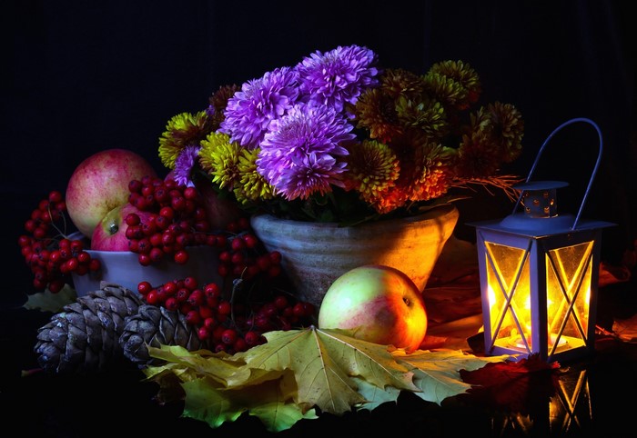 Still-life with asters, apples, berries, lantern, and pine cone