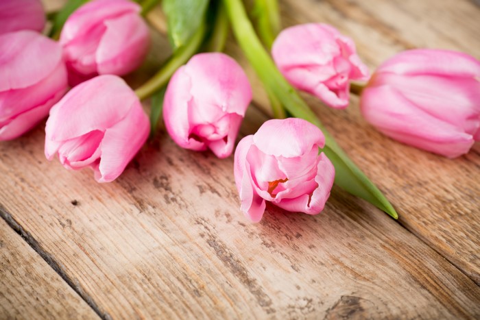 Pink Tulips on Wood Planks