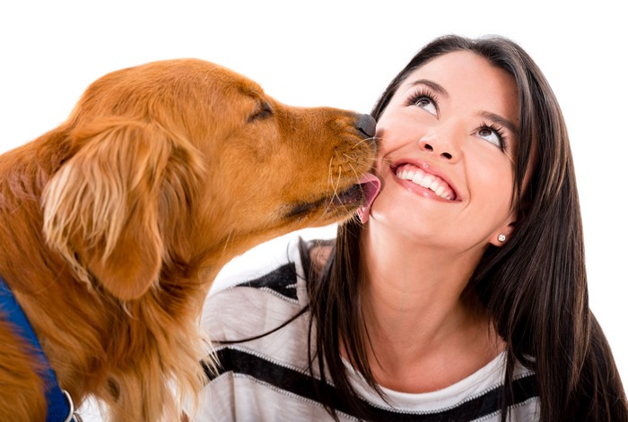 Golden Retriever licking a smiling woman