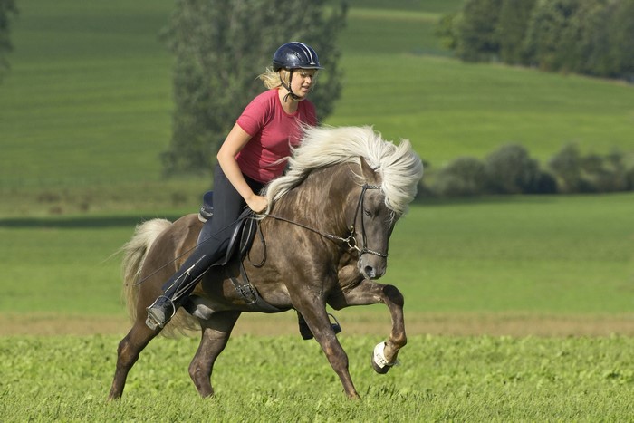 Woman riding a horse in a field