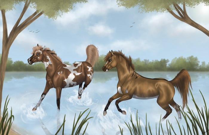 Two horses running through water