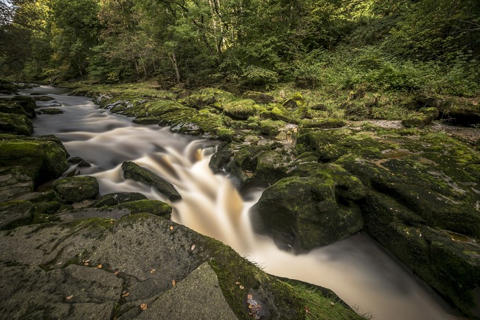 River flowing over mossy rocks in Yorkshire, UK