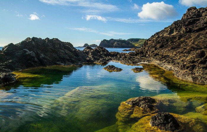 Rocky Coastline with Tidal Pools in Whangarei, New Zealand