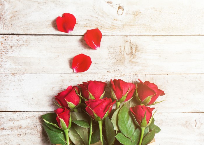 Red Roses and Petals on Wooden Planks