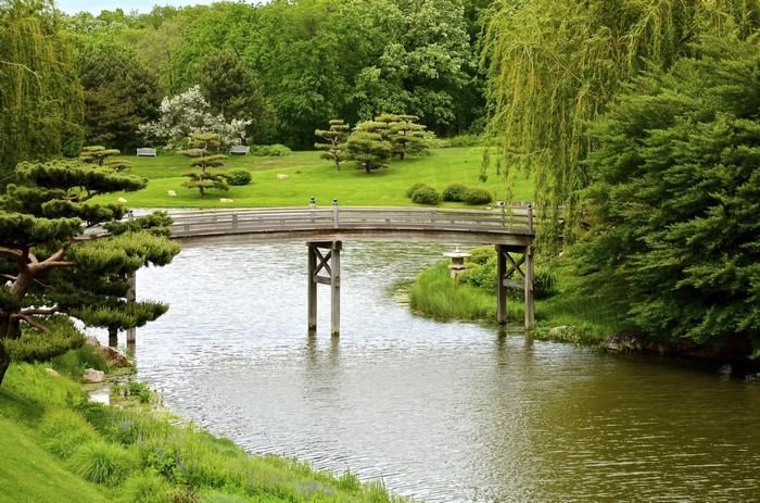 Wooden bridge over a river in a park with trees