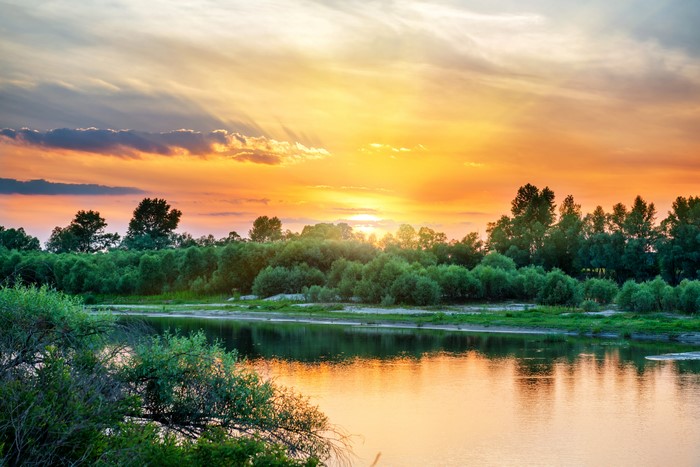 4K River at Sunset with Trees