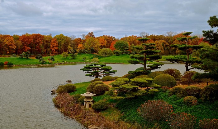 Japanese Garden with Pond and Autumn Trees