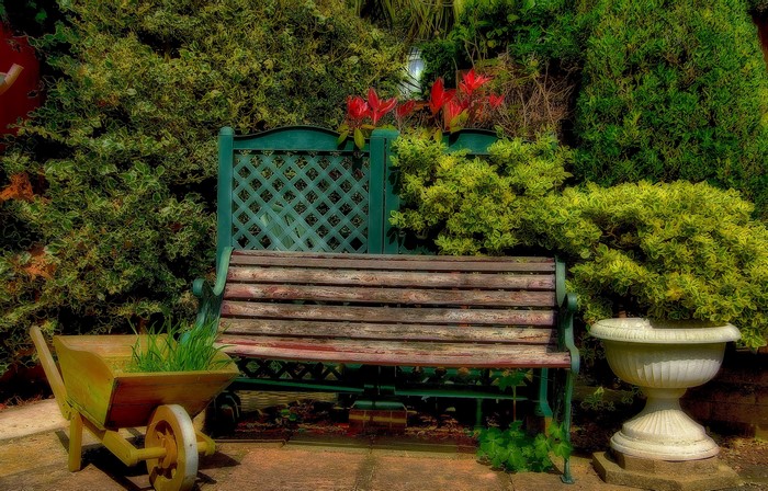 Garden Bench with Shrubs and Wheelbarrow