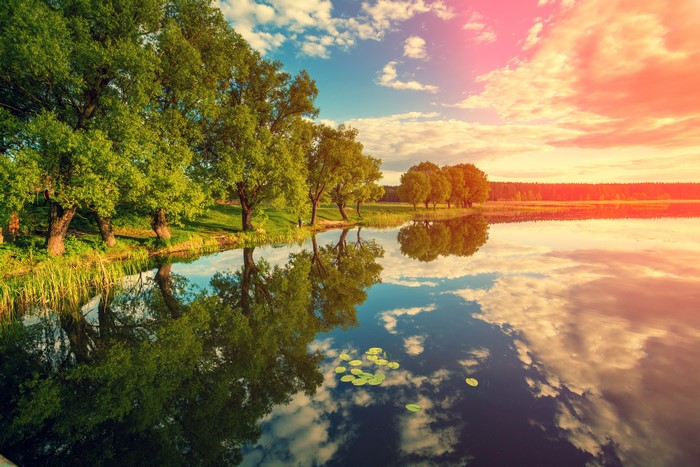 Calm River with Trees and Cloud Reflection 4K