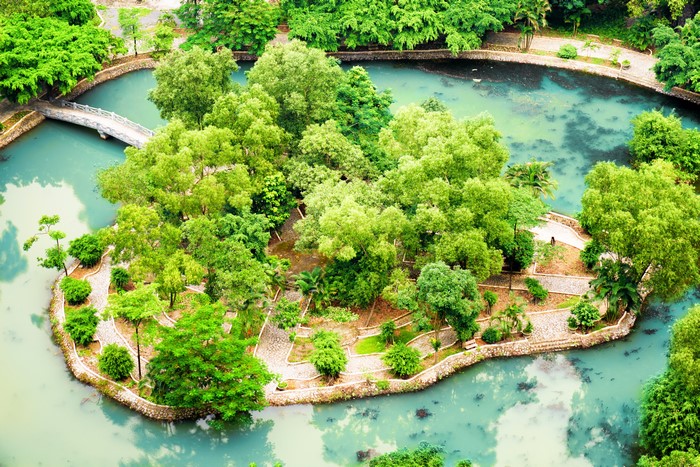 Tropical garden with pond and bridge in Vietnam