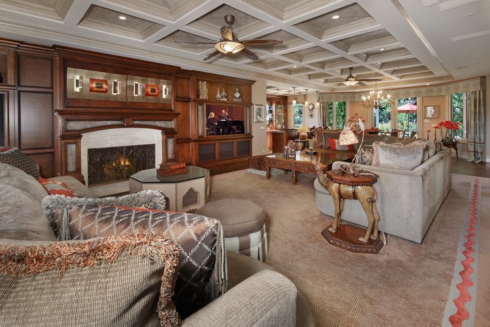 Living room with fireplace and sofas